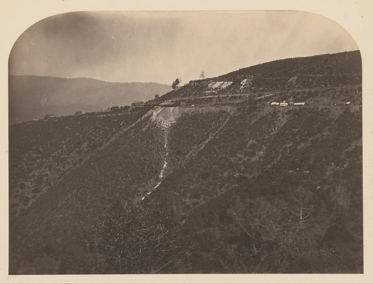 (Pine Tree Mine) tekijältä Carleton Watkins