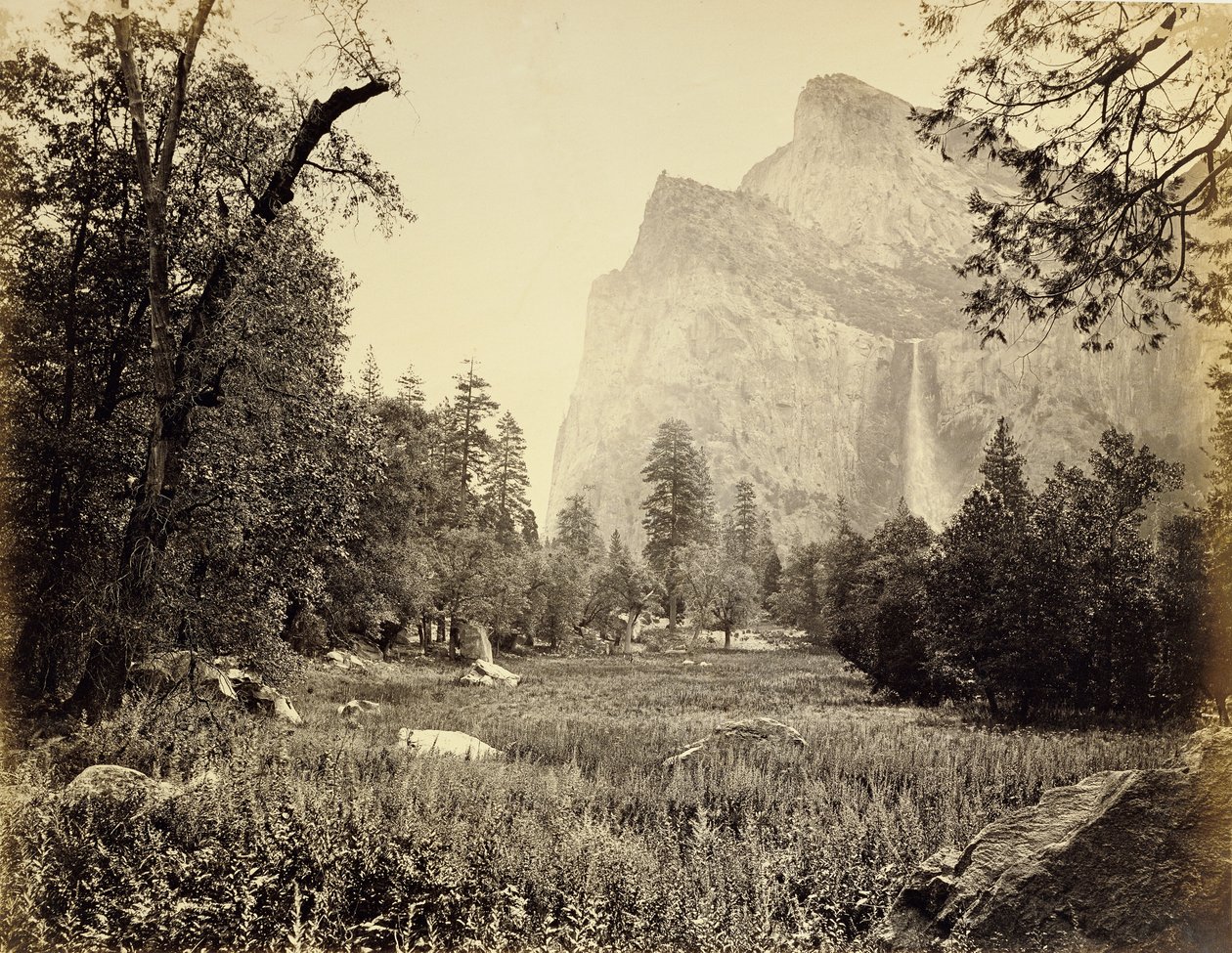 [Morsiushuntu, 900 jalkaa] tekijältä Carleton Watkins