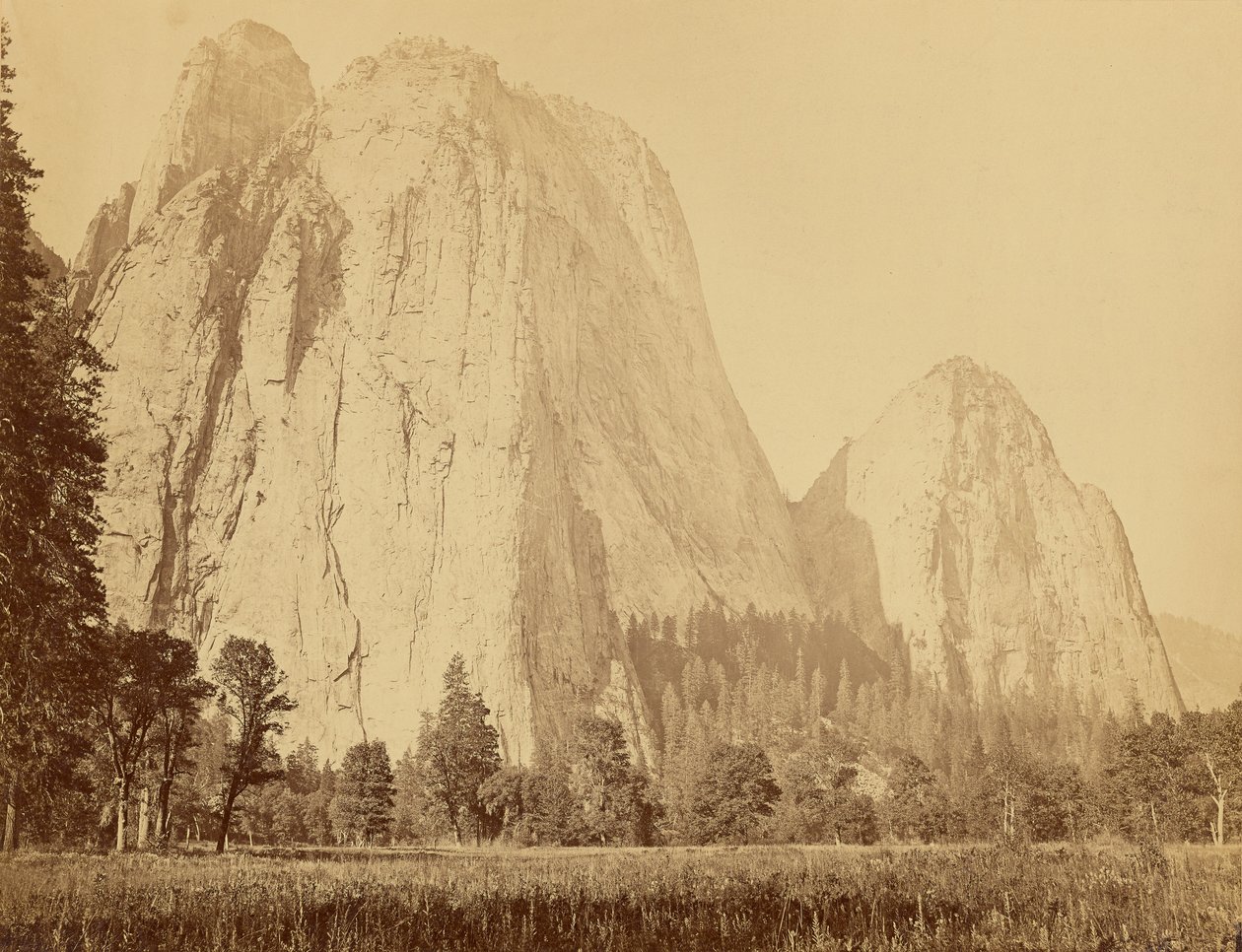 [Cathedral Rocks, 2600 jalkaa korkea] tekijältä Carleton Watkins