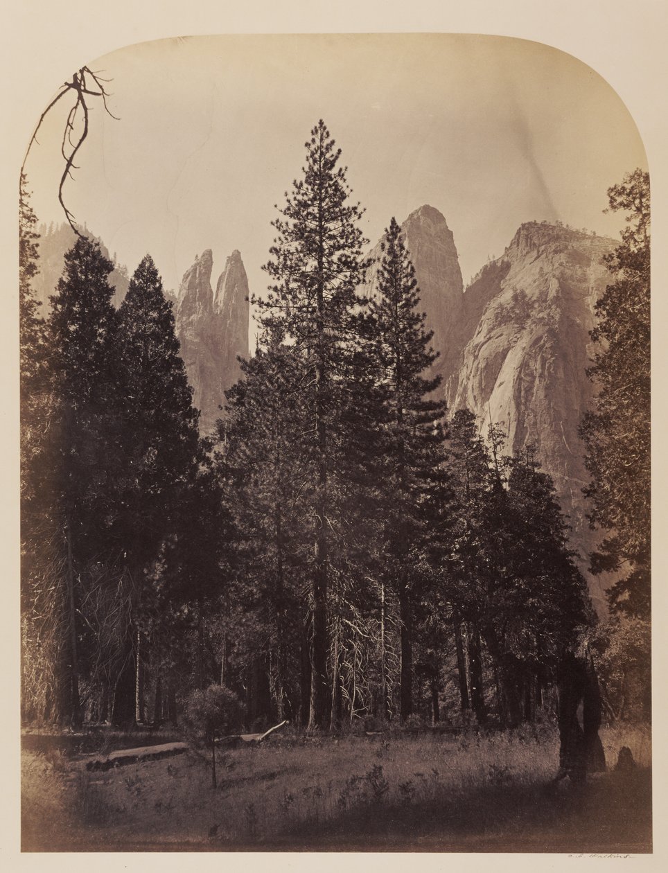Katedraalinhuiput - Yosemite tekijältä Carleton Watkins