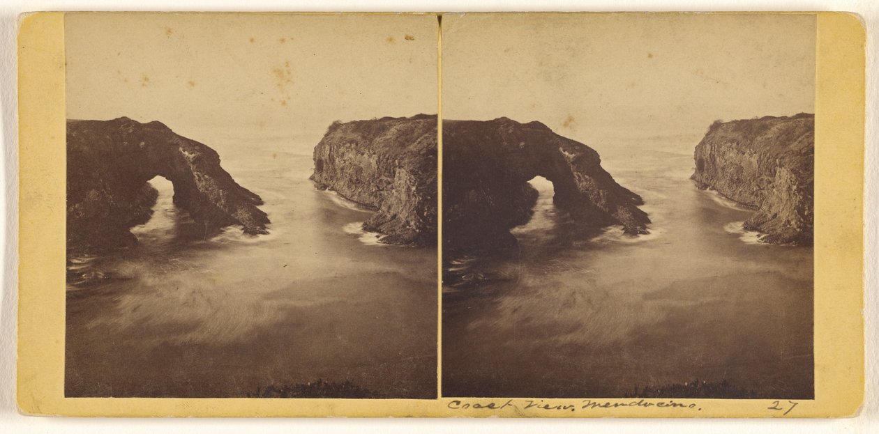 Rannikkonäkymä. Mendocino. tekijältä Carleton Watkins