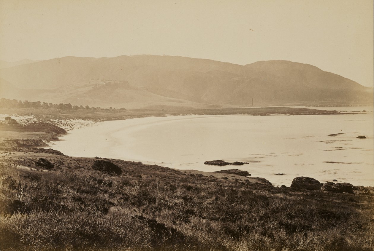 [Rannikkonäkymä, Monterey] tekijältä Carleton Watkins