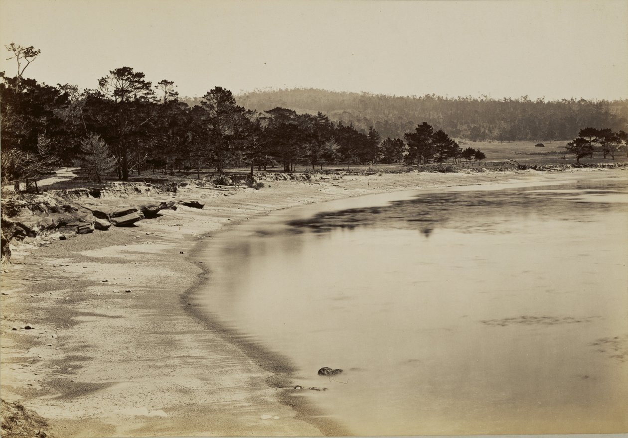 [Rannikkonäkymä Montereyin lähellä] tekijältä Carleton Watkins