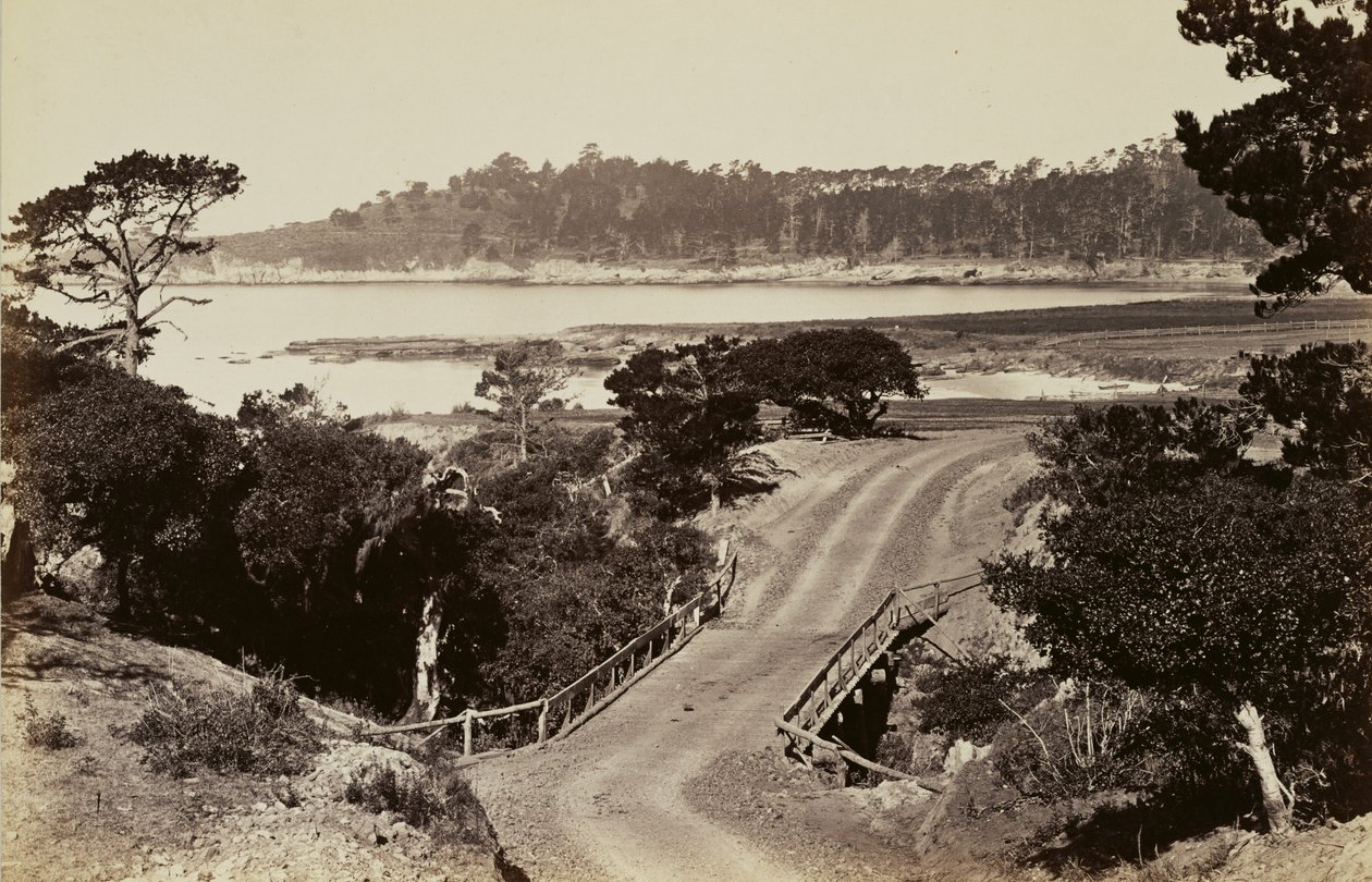 [Rannikkonäkymä lähellä Montereya] tekijältä Carleton Watkins