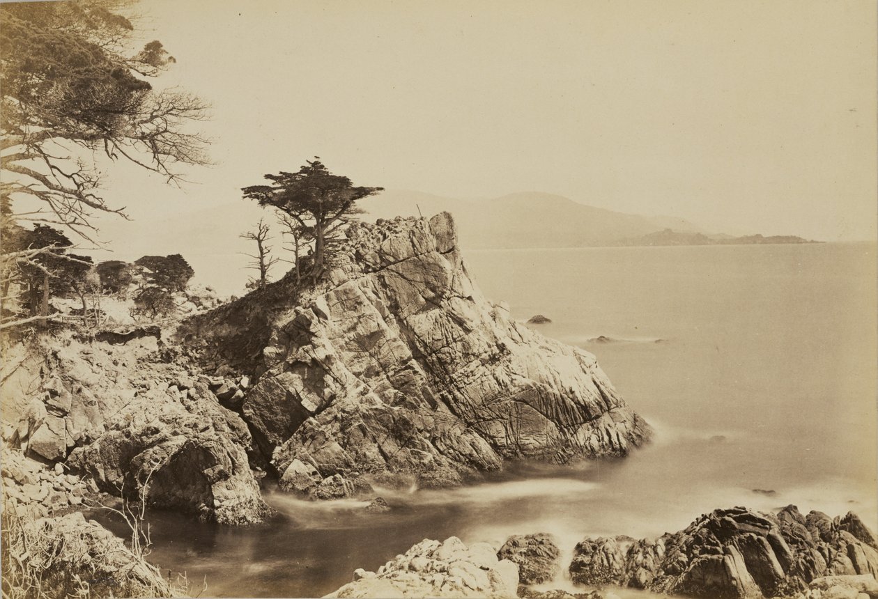 [Cypress Point] tekijältä Carleton Watkins