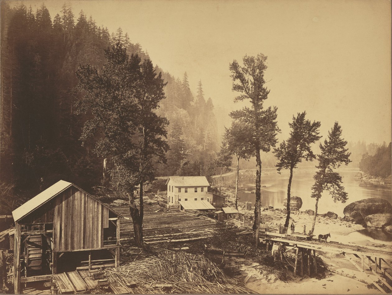 [Eagle Creek, Columbiajoki] tekijältä Carleton Watkins