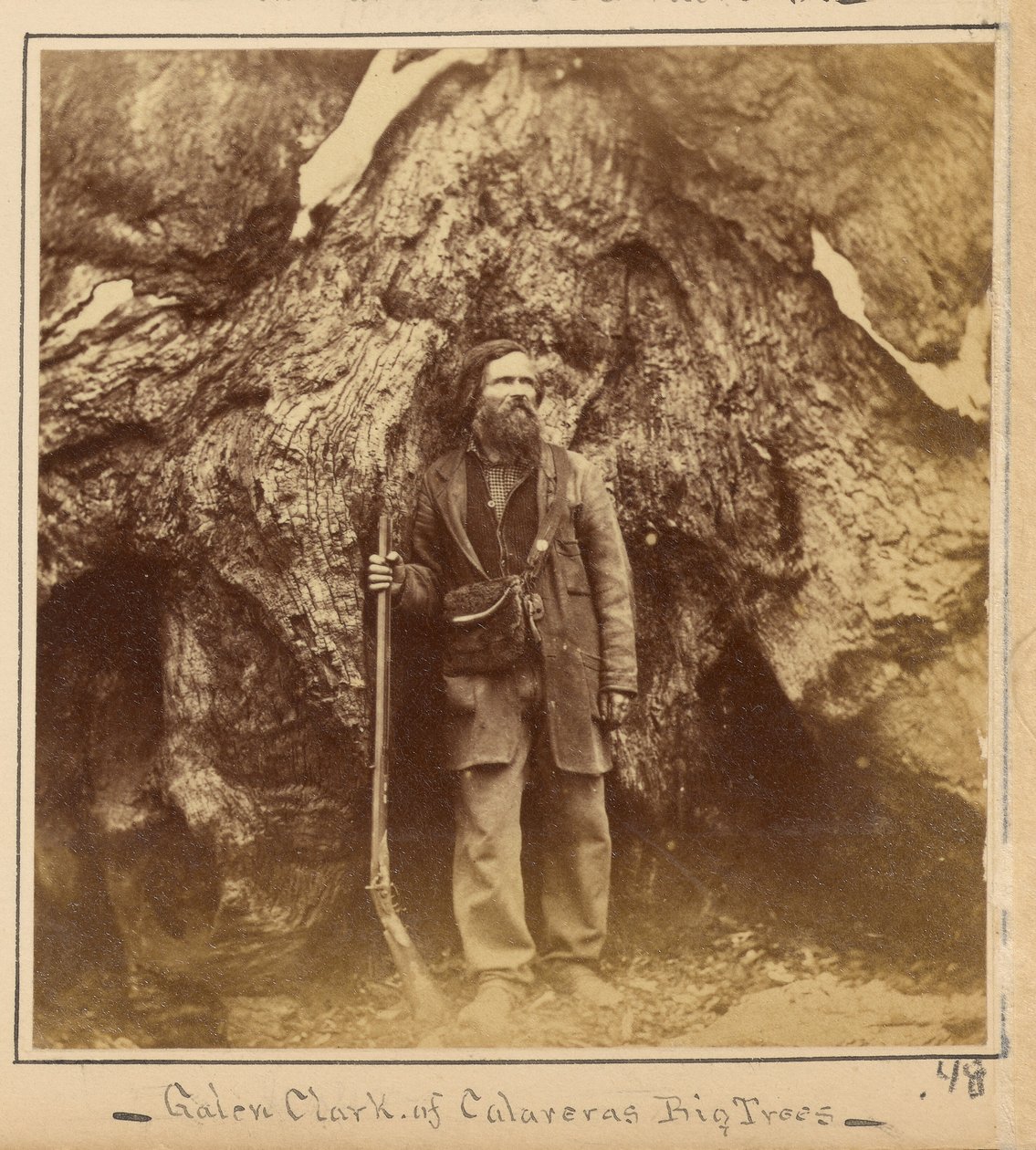 Galen Clark, Esq., Mariposa Grove, Mariposan piirikunta, Kalifornia tekijältä Carleton Watkins