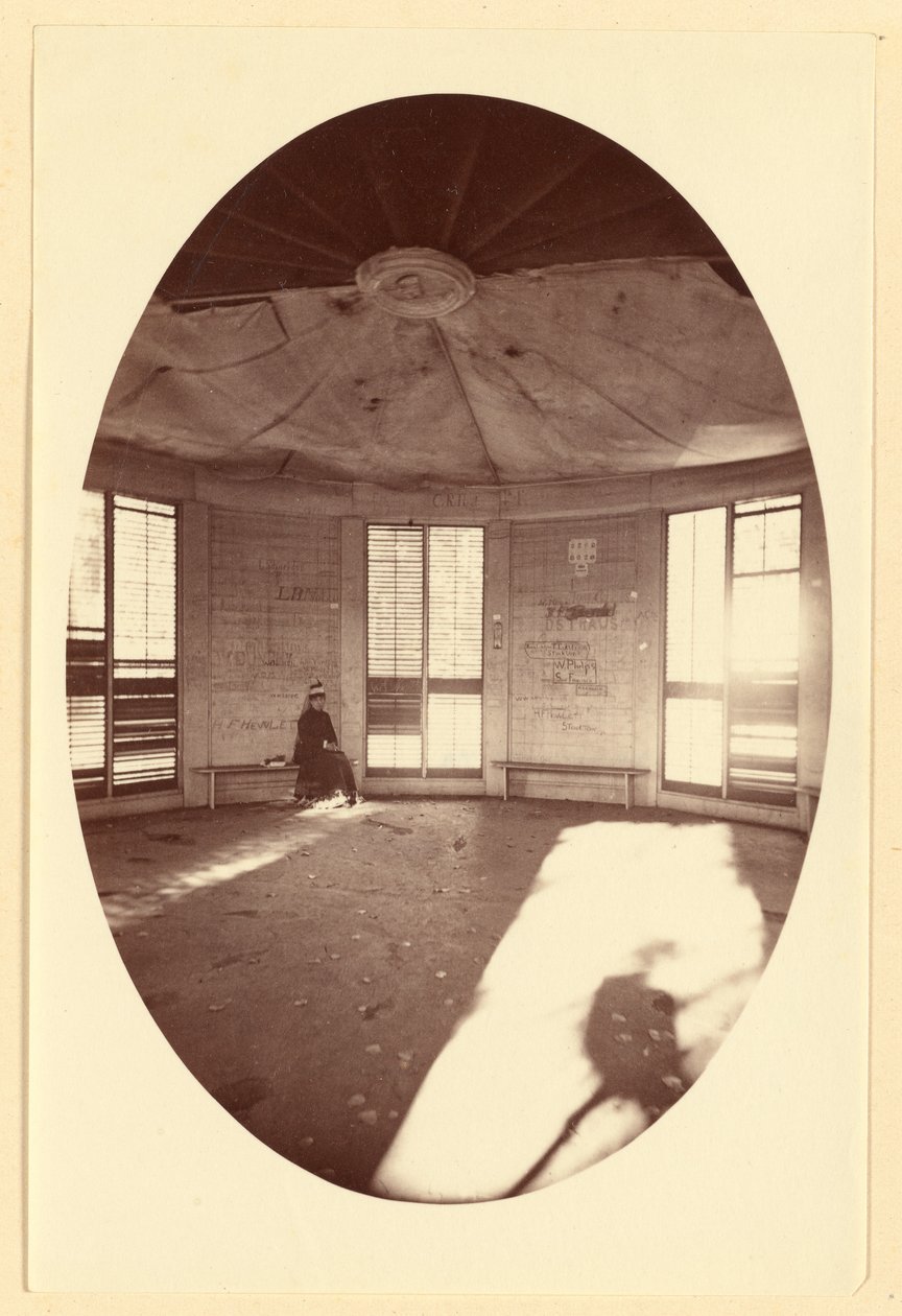 Puun kannon päälle rakennetun paviljongin sisätilat, Mammoth Tree Grove, Calaveras Co., Cal. tekijältä Carleton Watkins