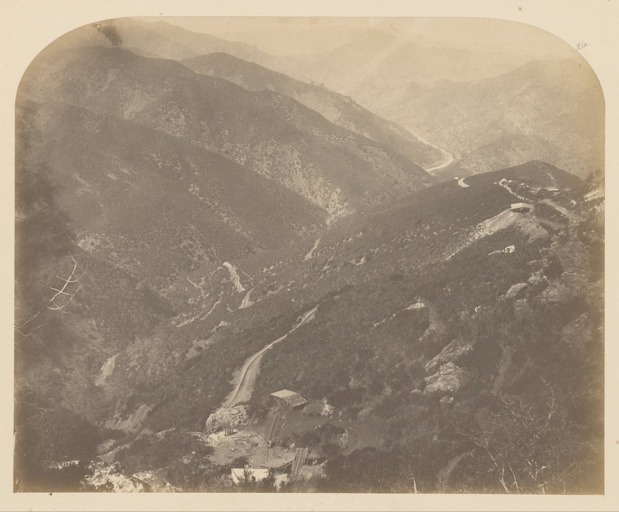 Josephine ja Pine Tree tekijältä Carleton Watkins