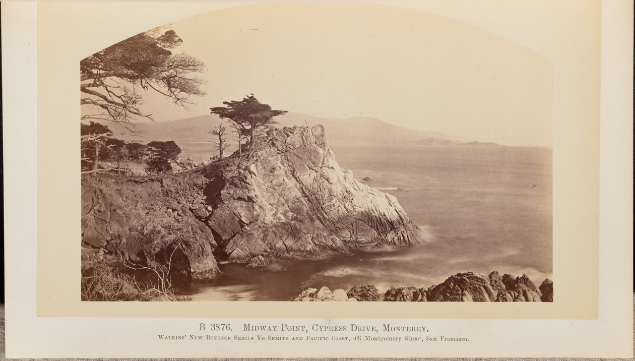 Midway Point, Cypress Drive, Monterey tekijältä Carleton Watkins
