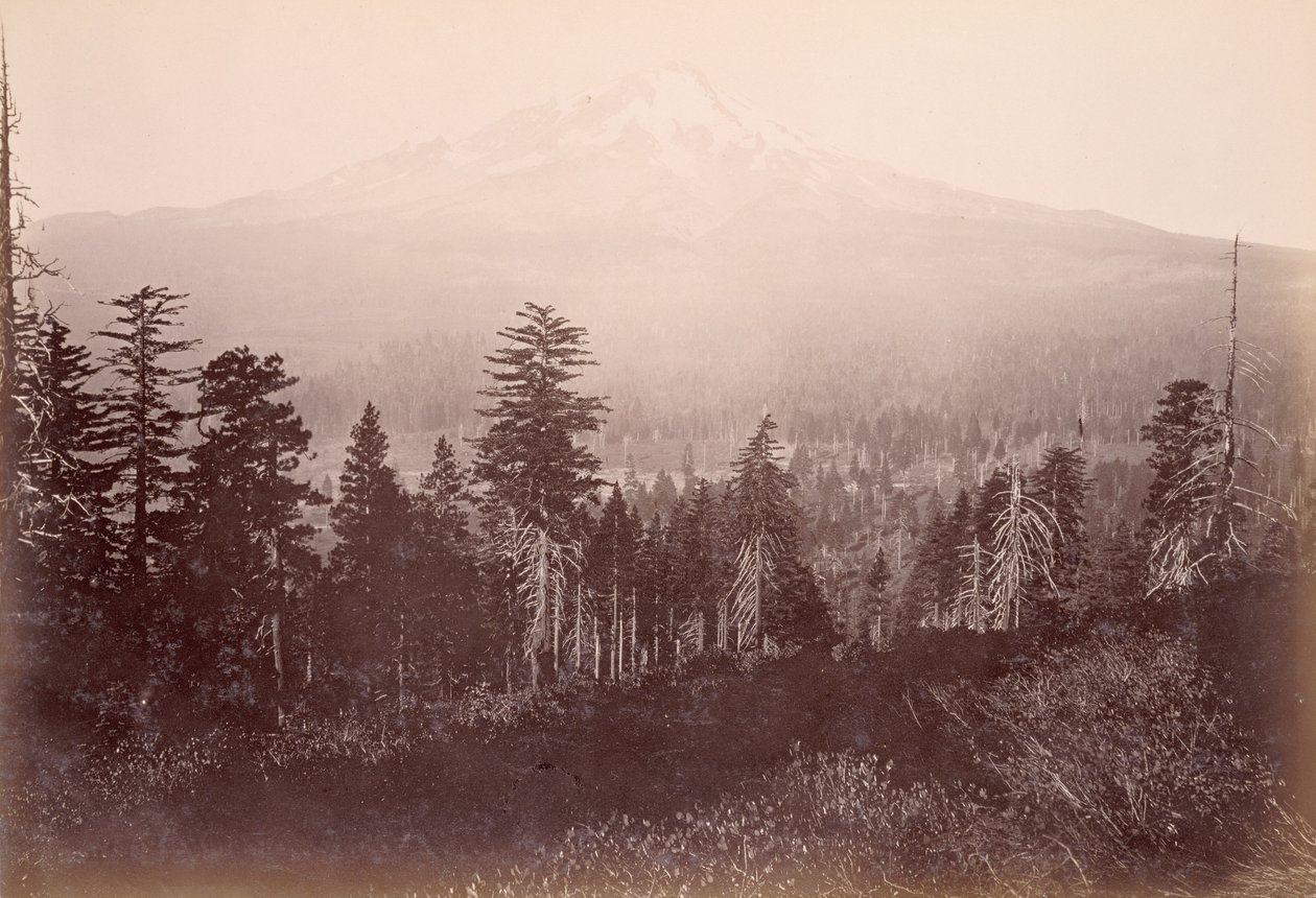 [Mount Shasta] tekijältä Carleton Watkins