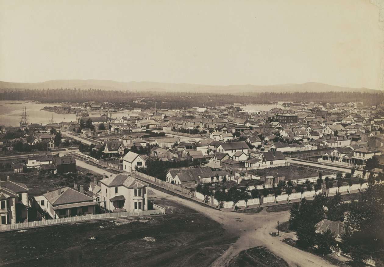 [Panoraama Victoriasta, Brittiläisestä Kolumbiasta - näkymä Christ Churchilta nro 2] tekijältä Carleton Watkins