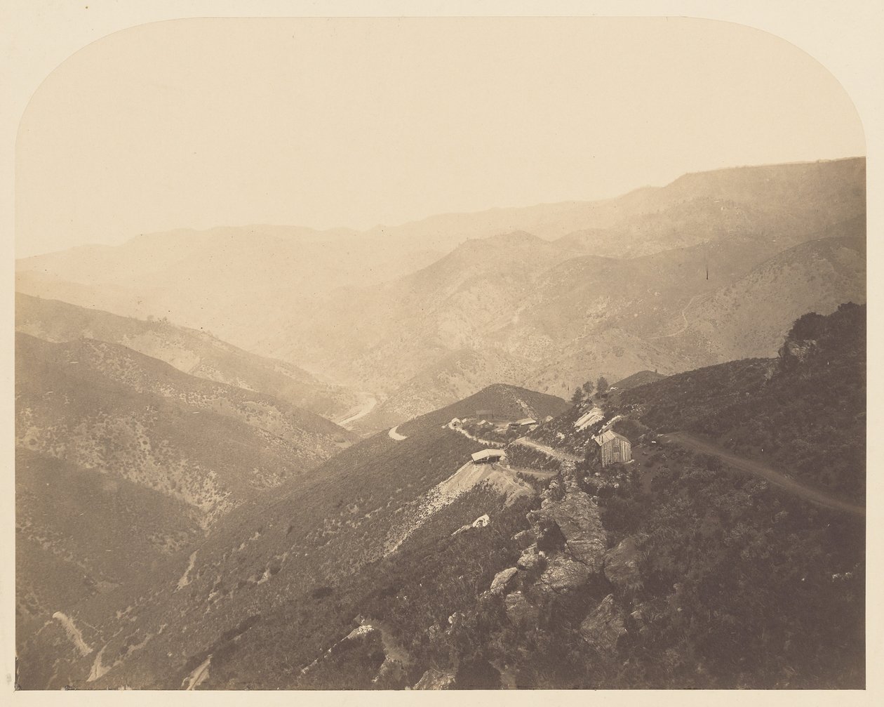 [Pine Tree Mine] tekijältä Carleton Watkins