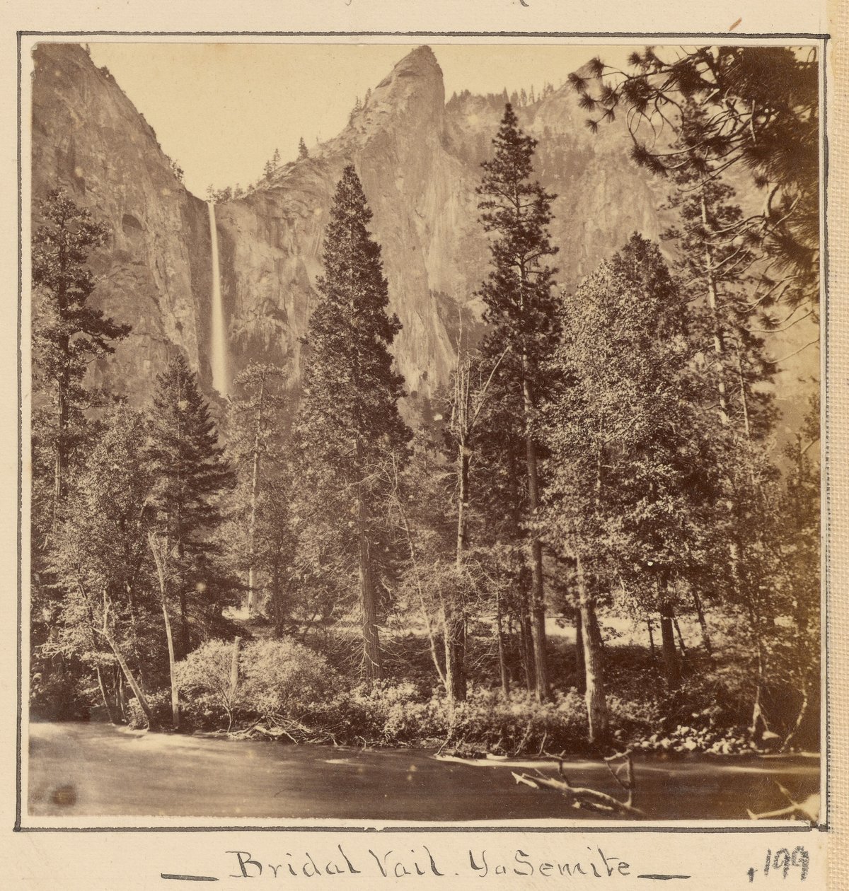 Pohono eli Morsiushuntu, 900 jalkaa tekijältä Carleton Watkins
