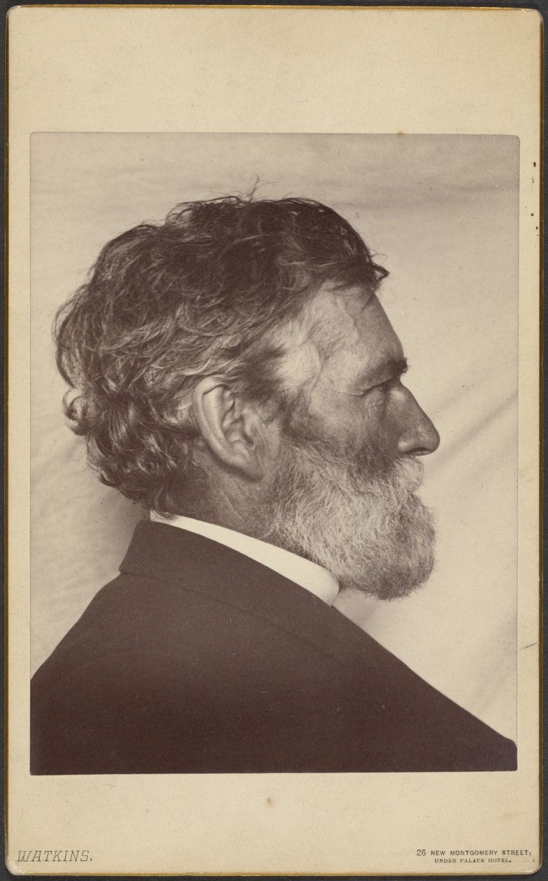 George Davidsonin muotokuva tekijältä Carleton Watkins