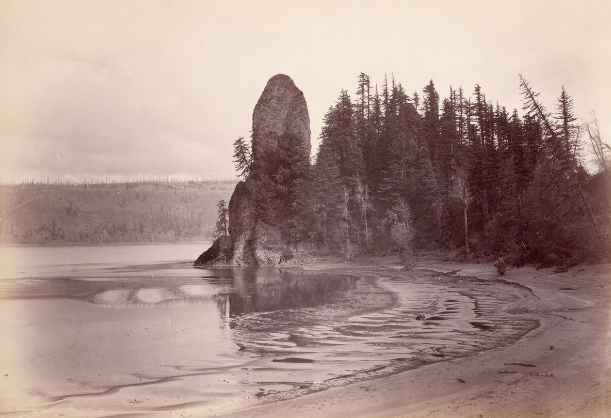 [Rooster Rock - Columbiajoki] tekijältä Carleton Watkins
