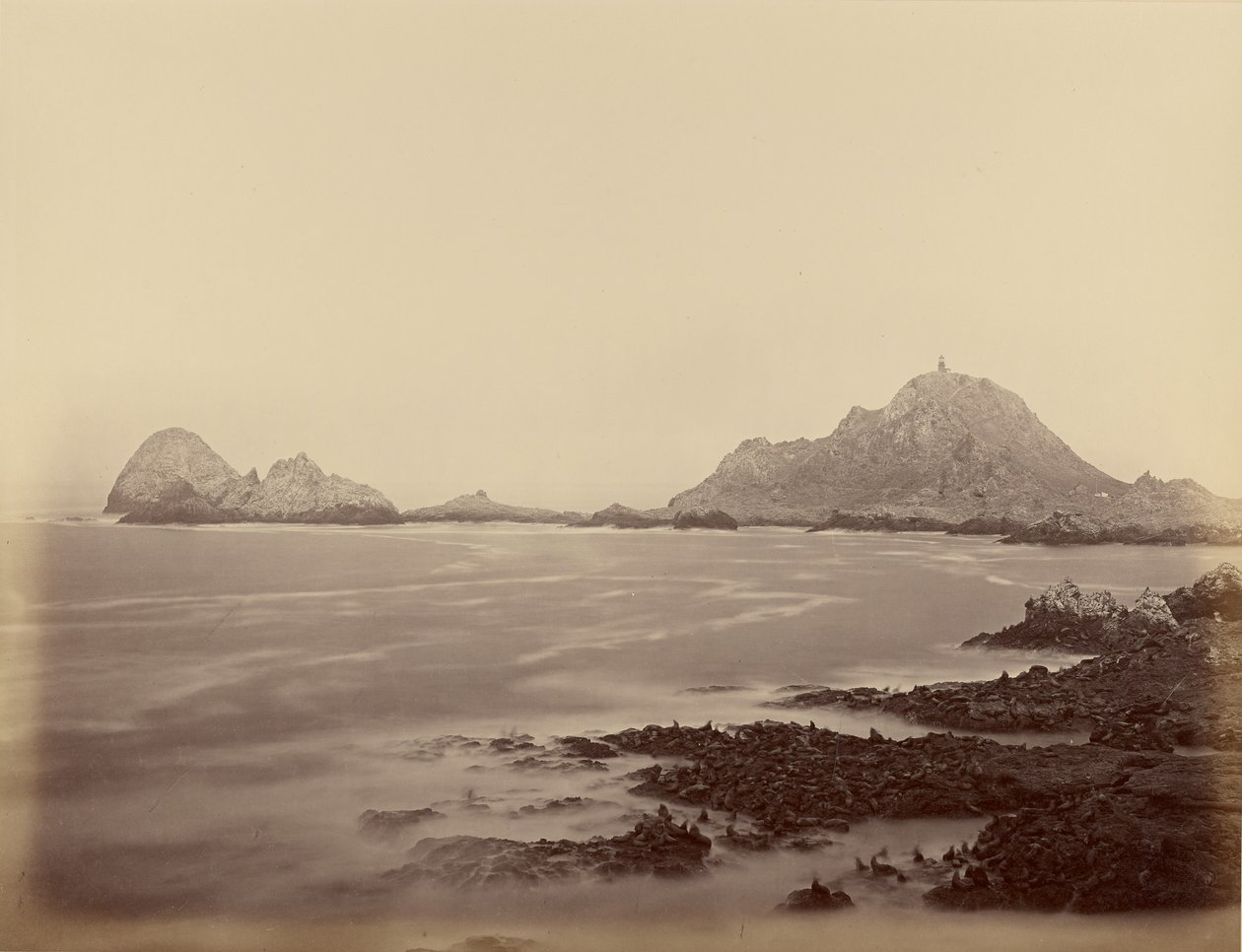 [Seal Point West Endistä nähtynä, Farallonsaaret] tekijältä Carleton Watkins