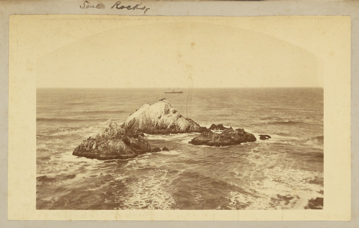 Seal Rocks. tekijältä Carleton Watkins
