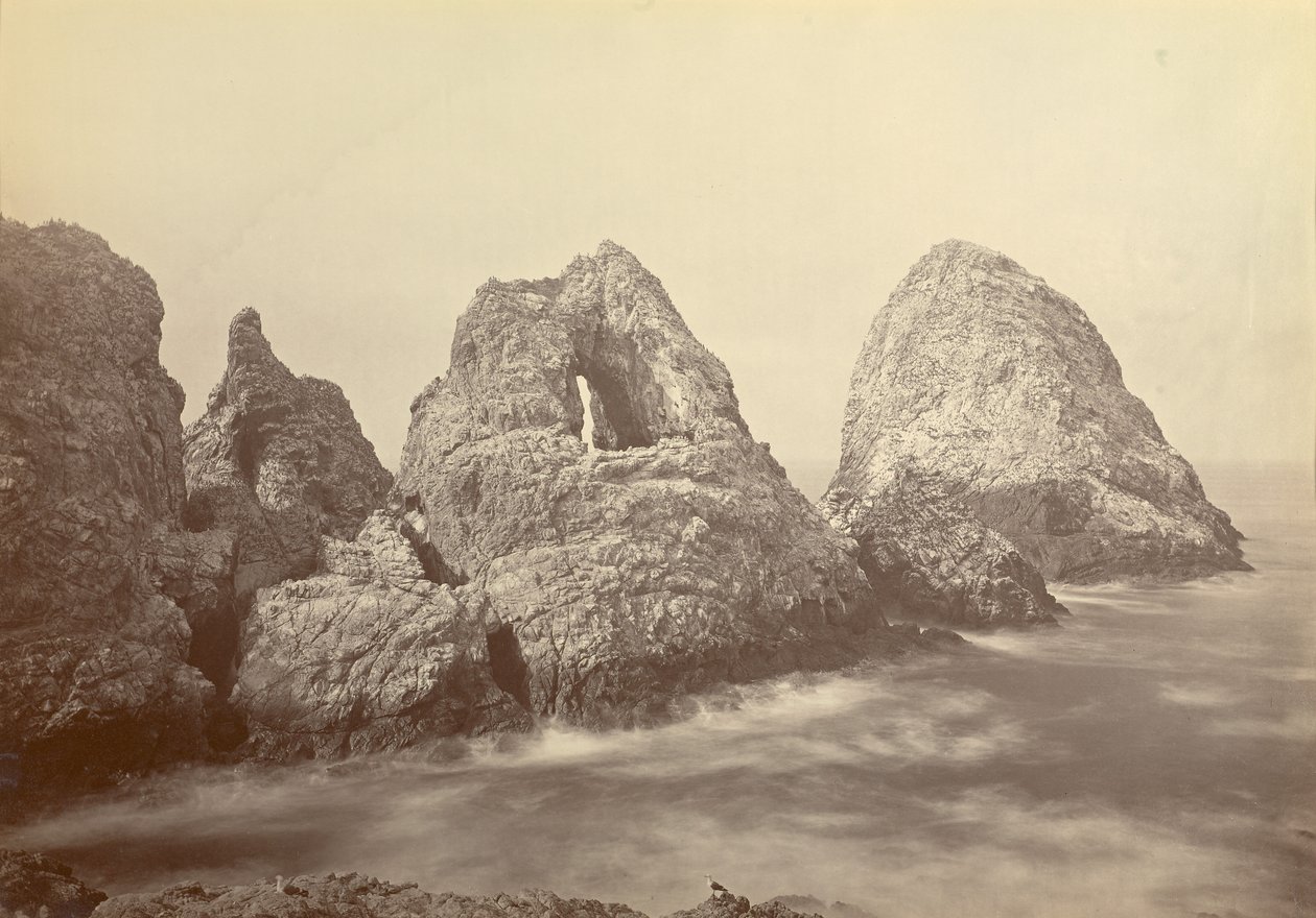 [Sugarloaf-saaret Fisherman