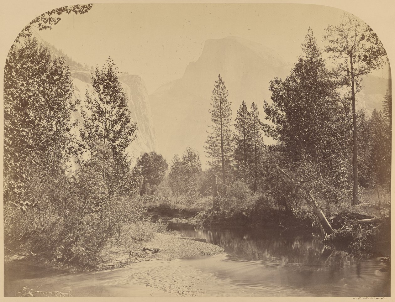 Tasayac - Half Dome - 4967 jalkaa, Yosemite tekijältä Carleton Watkins