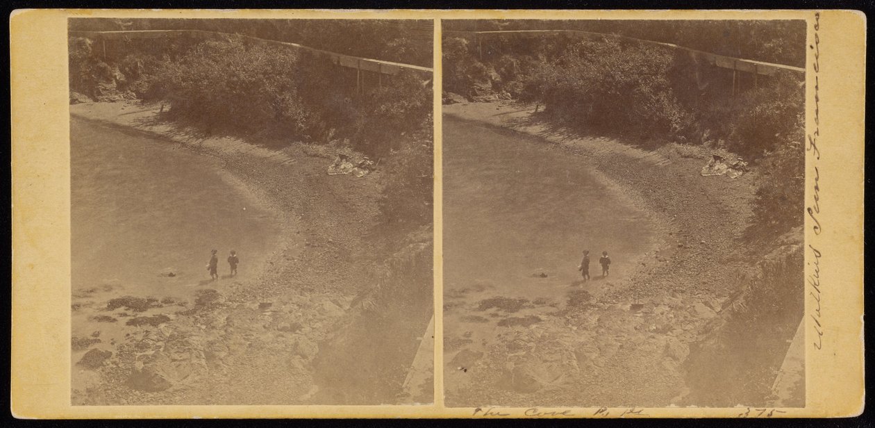 Cove, S.F tekijältä Carleton Watkins