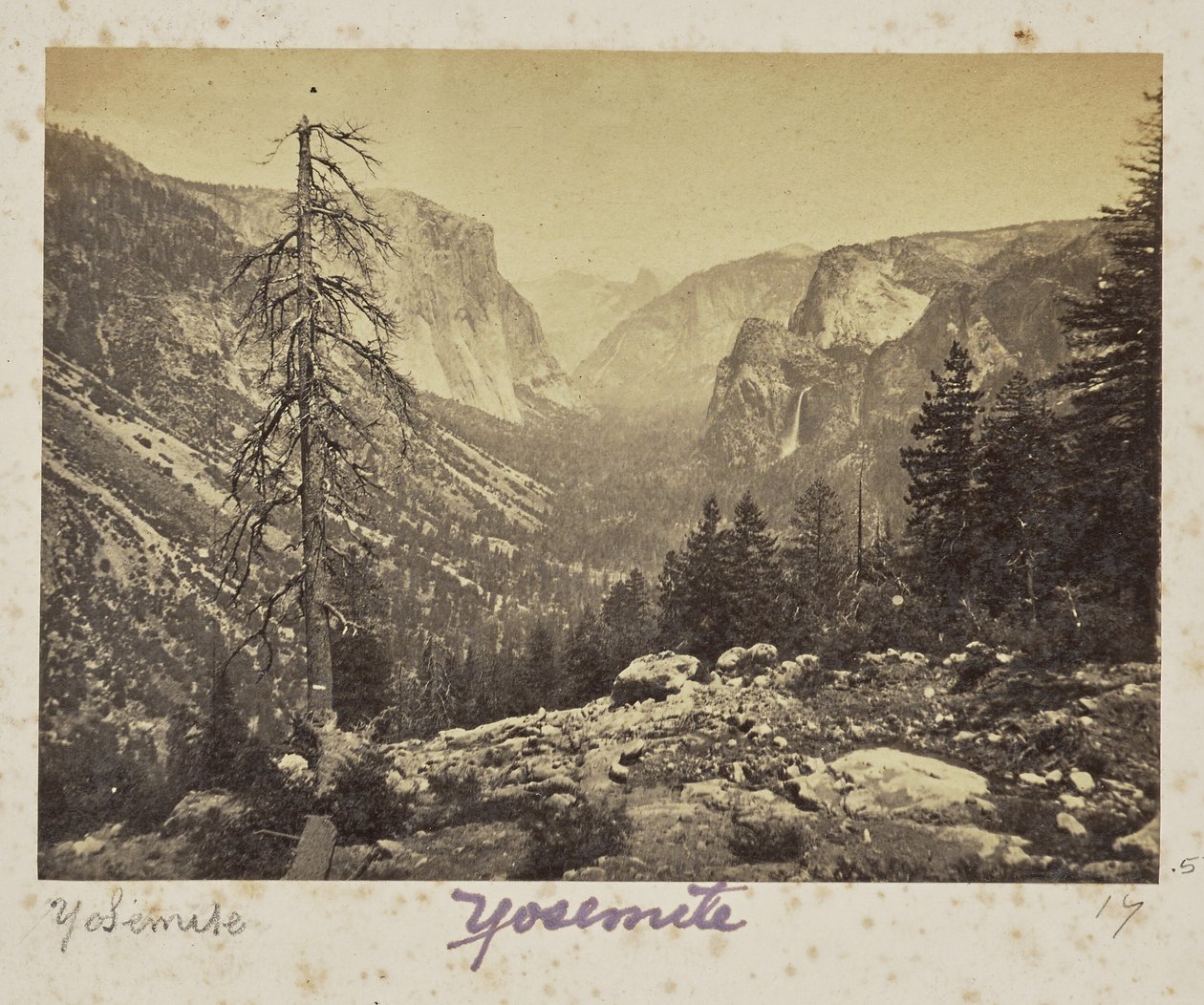 Yosemiten laakso Mariposa Traililta, Yosemiten laakso, Mariposan piirikunta, Kalifornia (nro 1138) tekijältä Carleton Watkins