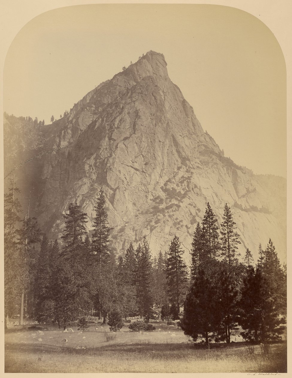 Kolme veljestä (edestä nähtynä), 4480 jalkaa, Yosemite tekijältä Carleton Watkins