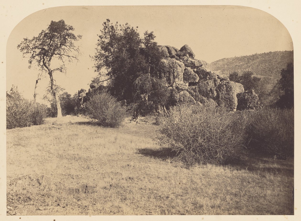 [Tornikallio - pohjoinen näkymä] tekijältä Carleton Watkins