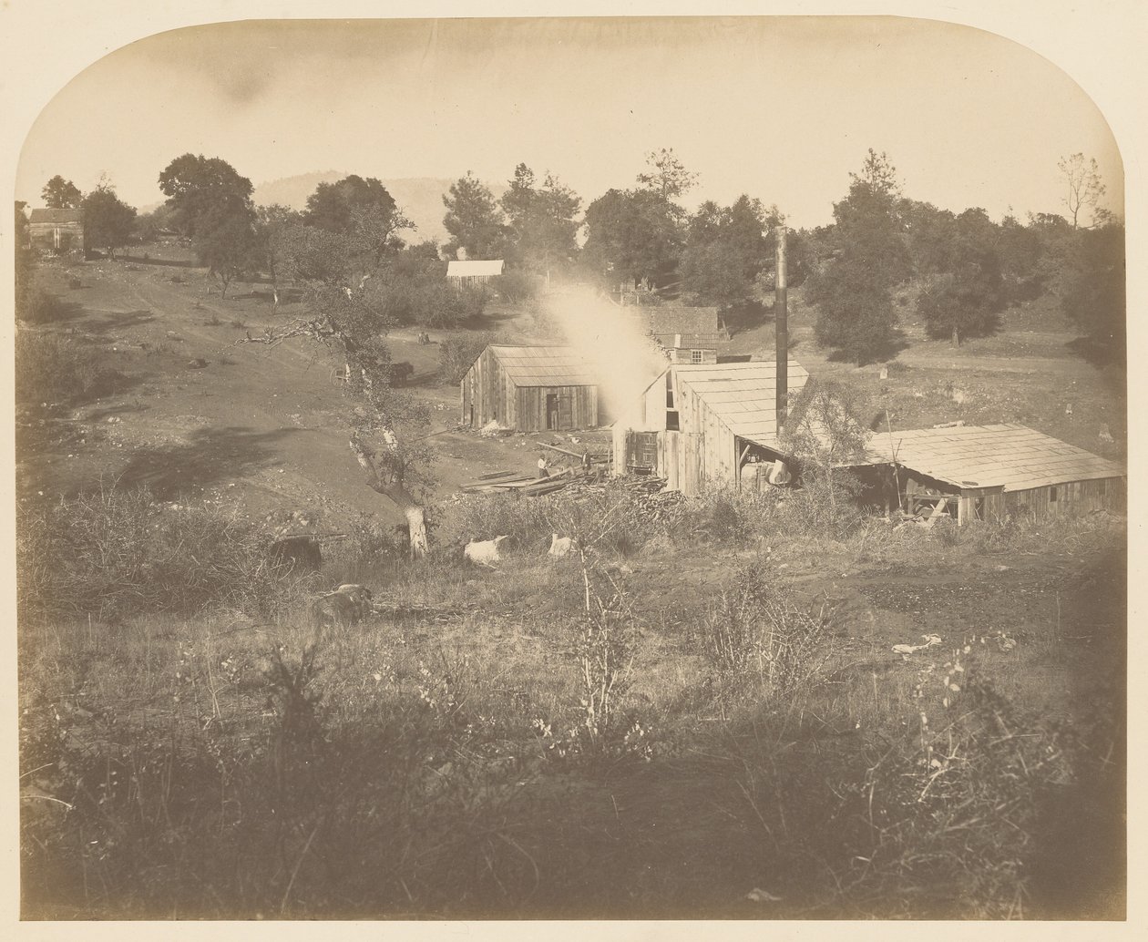 [Turnerin mylly] tekijältä Carleton Watkins