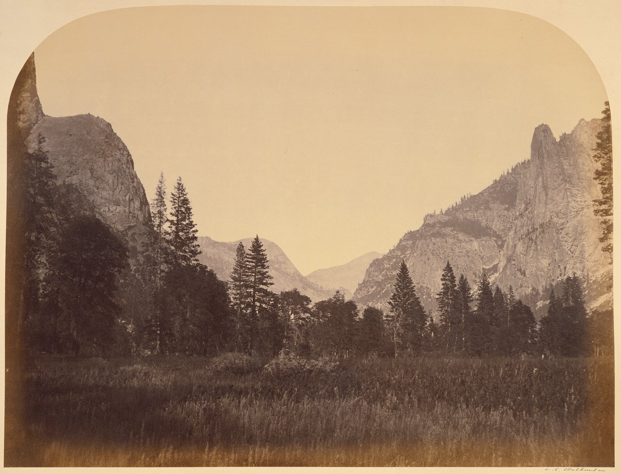 Ylös laaksoa - Yosemite tekijältä Carleton Watkins