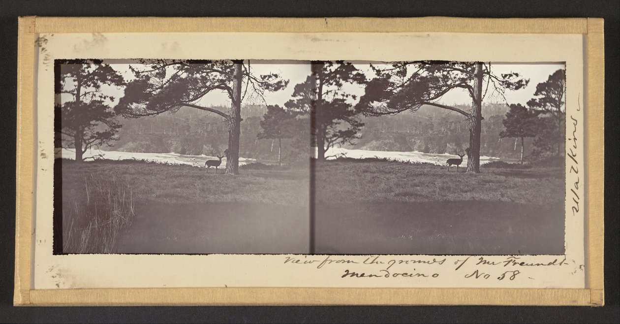 Näkymä Mr. Freundt, Mendocino tekijältä Carleton Watkins