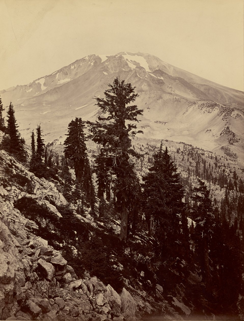 [Williamsonii, Mount Shasta] tekijältä Carleton Watkins