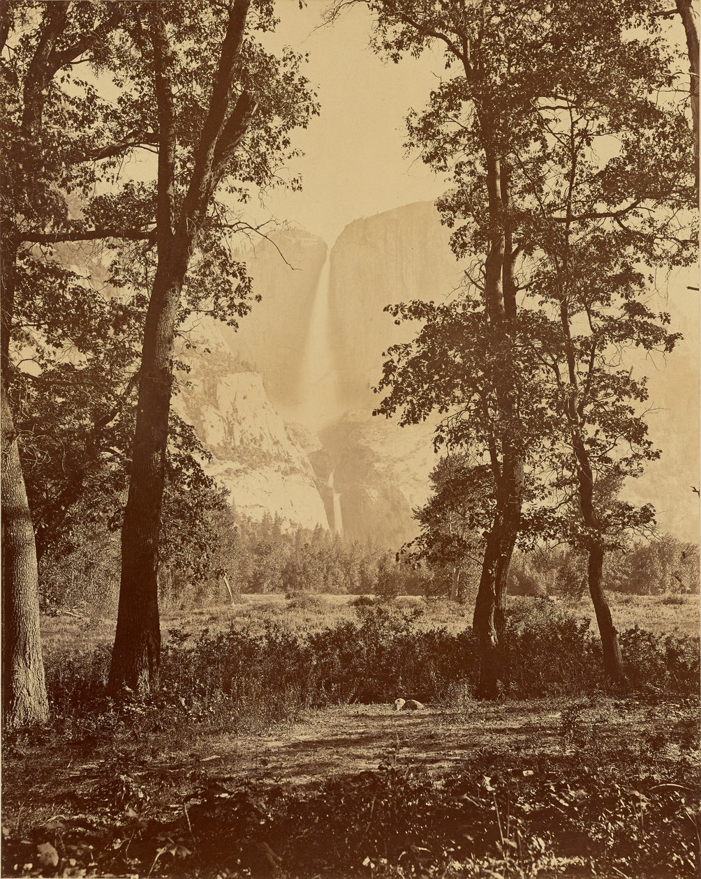 [Yosemiten putous alhaalta nähtynä] tekijältä Carleton Watkins