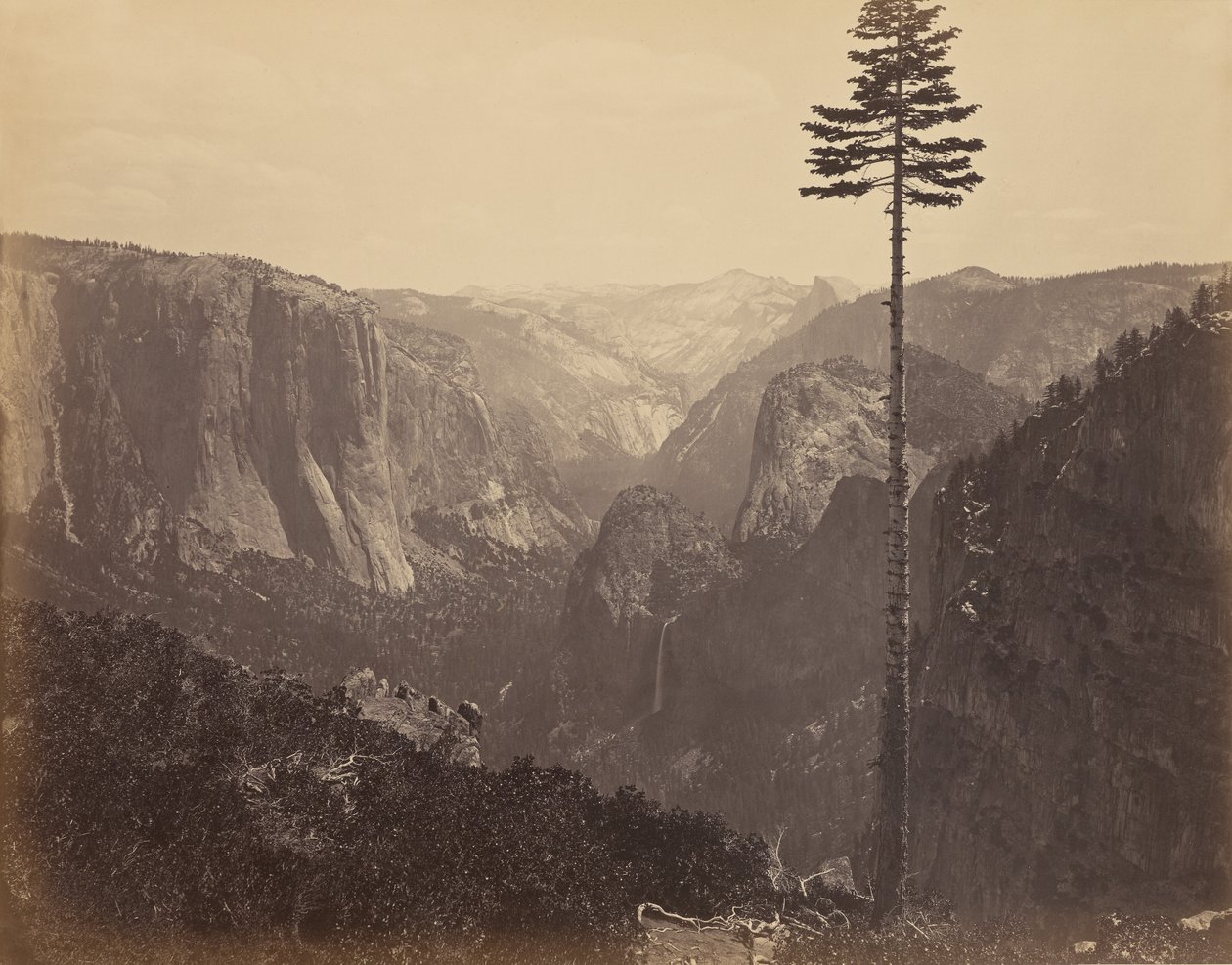 [Yosemiten laakso parhaalta yleiseltä näköalapaikalta] tekijältä Carleton Watkins