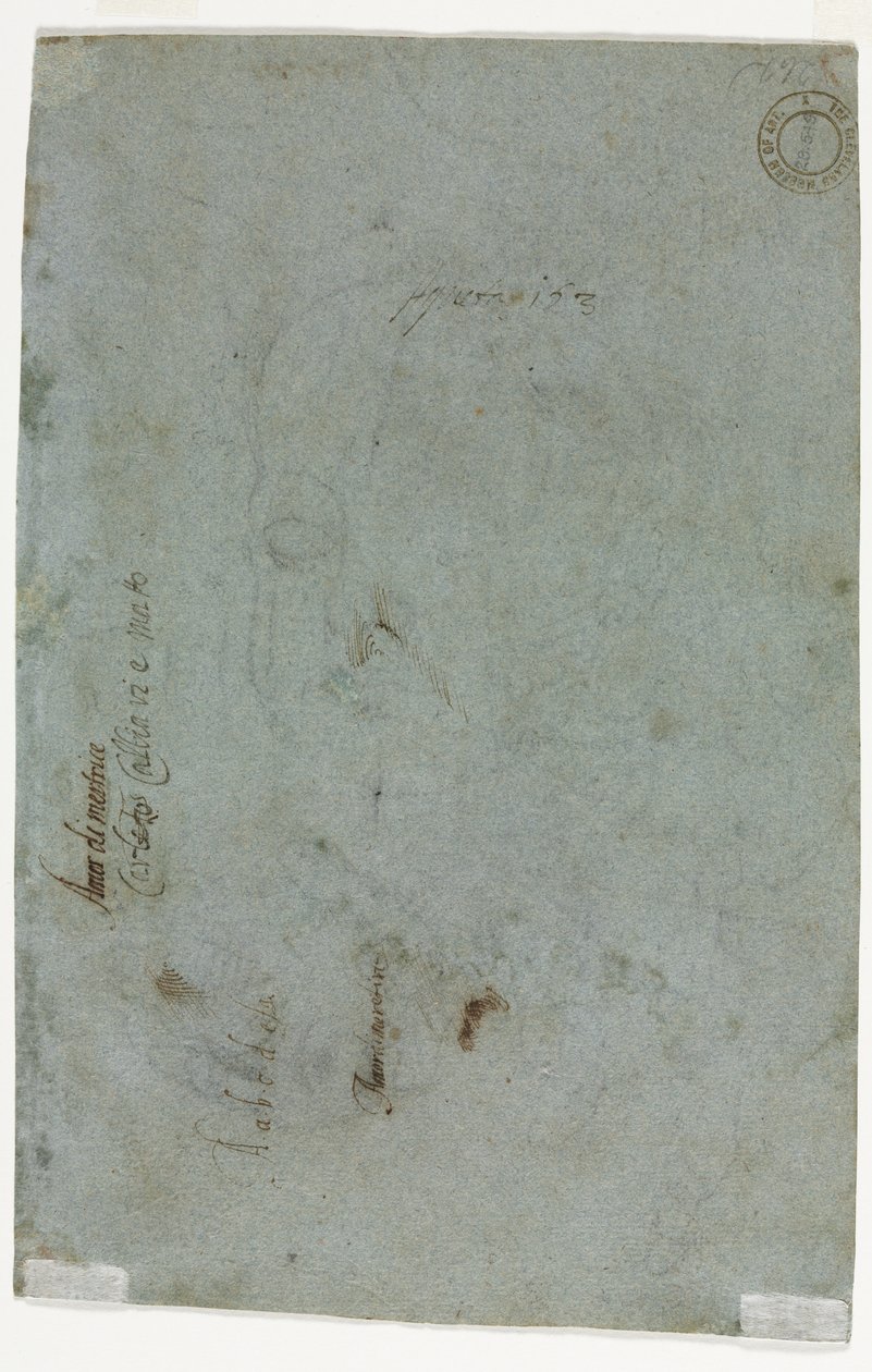 Luonnos lapsen pään versosta, c. 1586. tekijältä Carletto Caliari
