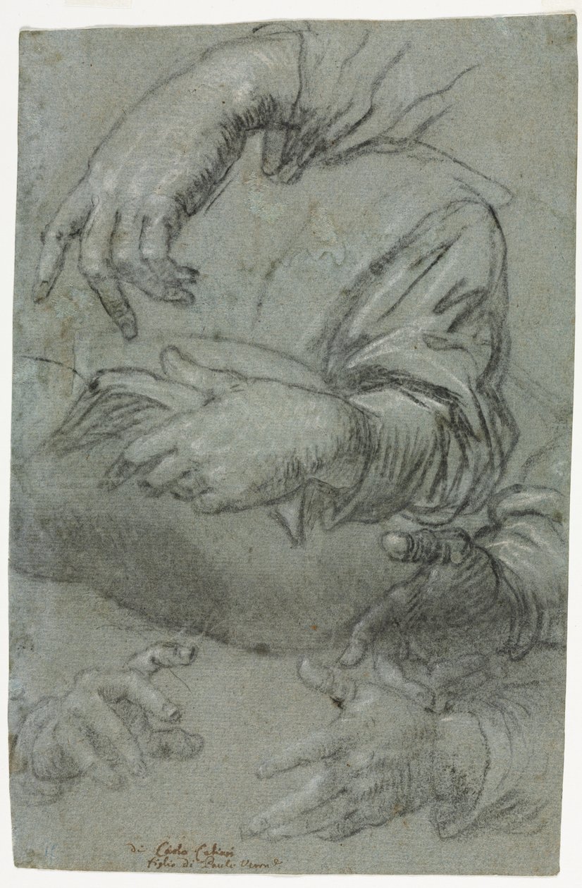 Studies of Hands recto, Luonnos lapsen päästä verso, n. 1586. tekijältä Carletto Caliari