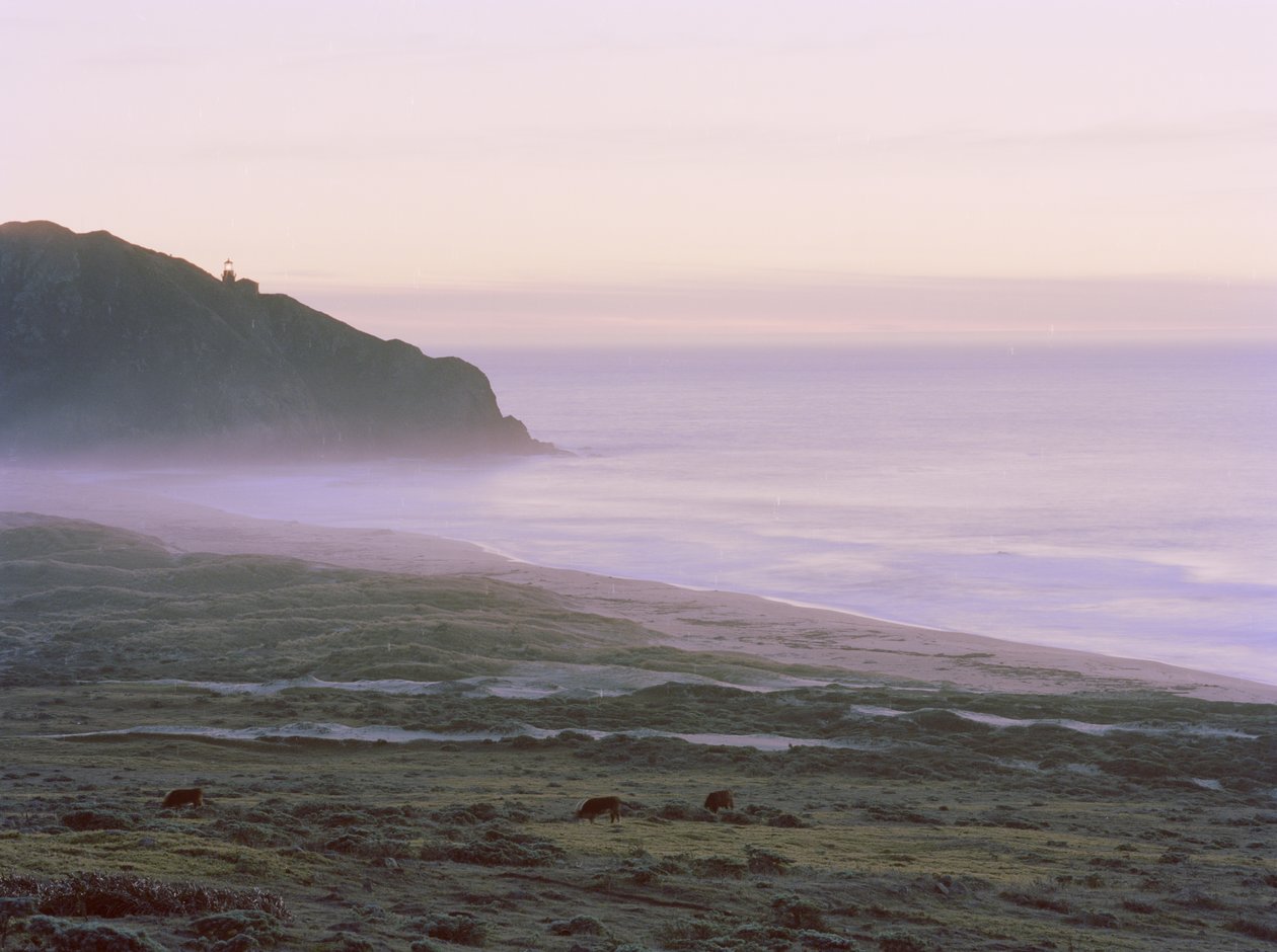 Big Sur, 2014 tekijältä Carli Choi