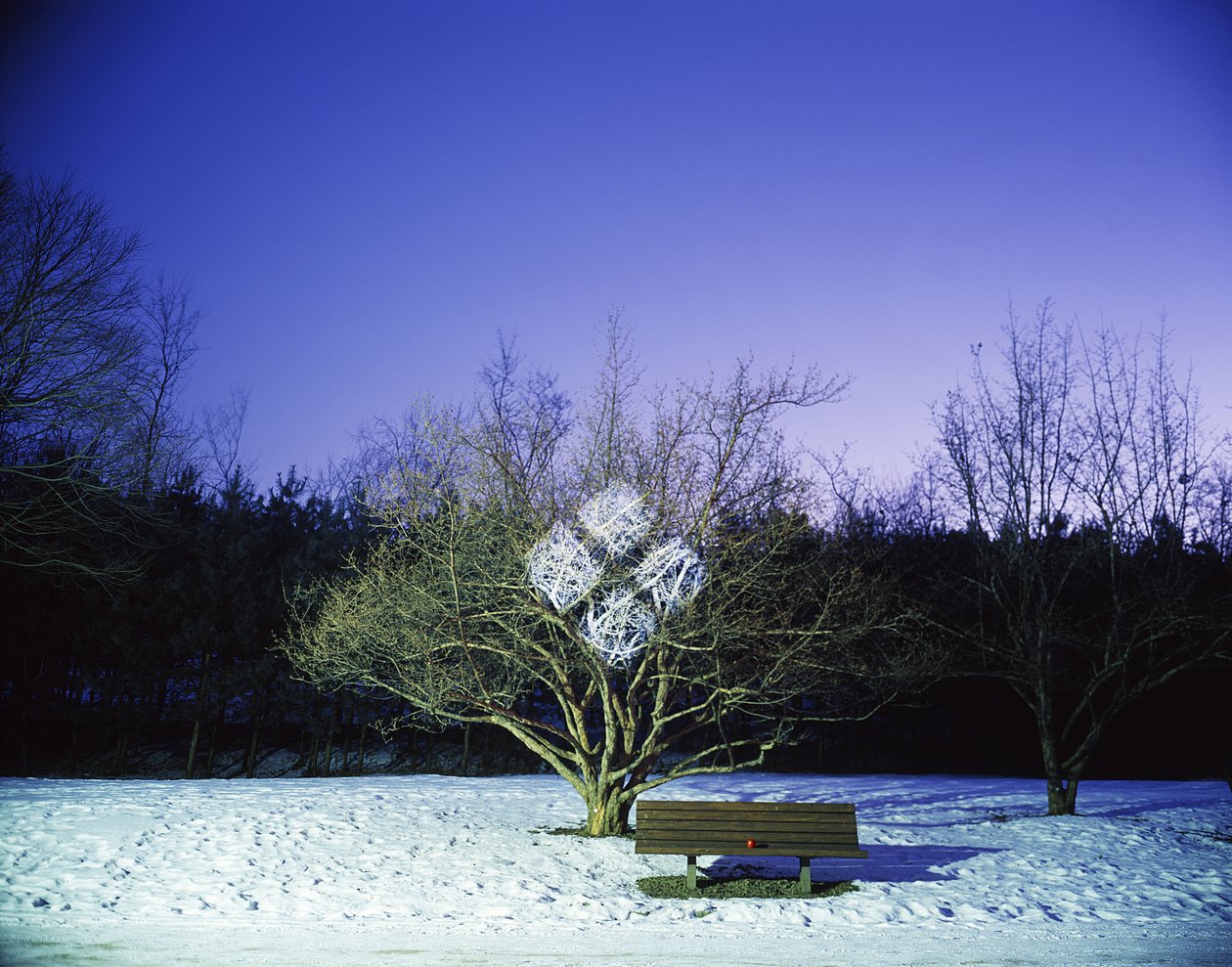 Maalaus pimeässä, 2012 tekijältä Carli Choi