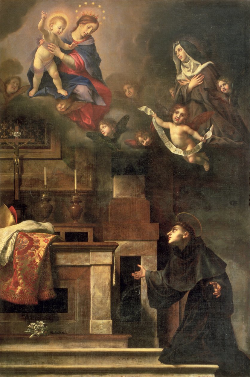 Neitsyt ilmestyy St. Louisille Toulouselle tekijältä Carlo Dolci