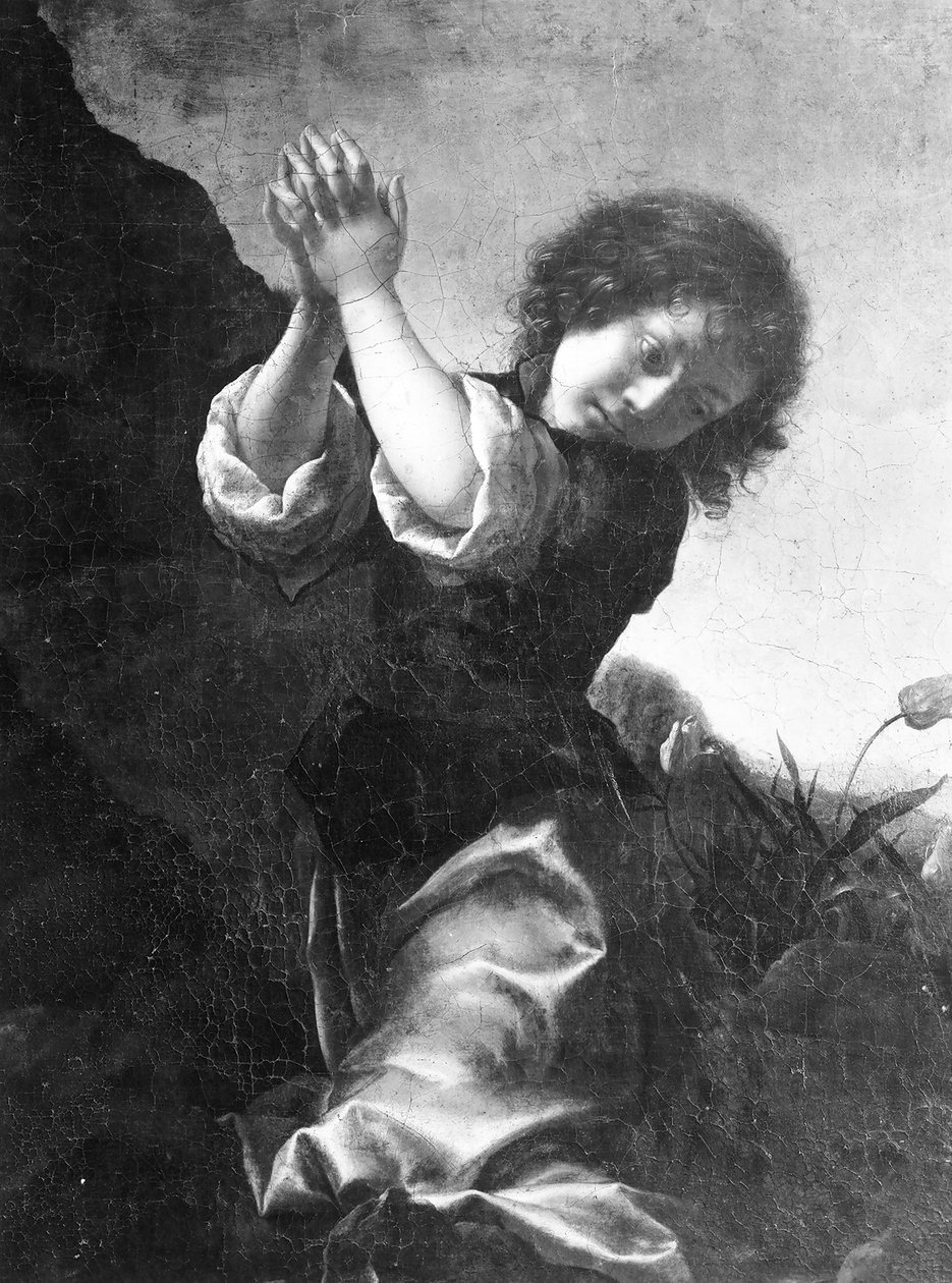 Suojelusenkeli. tekijältä Carlo Dolci