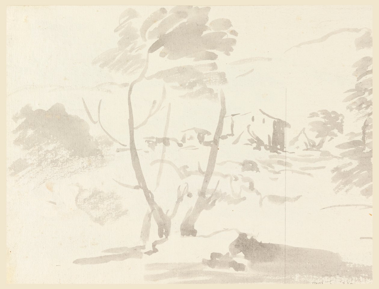 Piirustus, Luonnos puista maisemassa, 1760-1780 tekijältä Carlo Marchionni