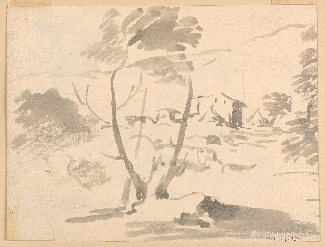 Piirustus, Luonnos puista maisemassa, 1760-1780 tekijältä Carlo Marchionni