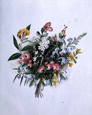 Kesäkukkien kukka, 1800-luku tekijältä Caroline Louisa Meredith
