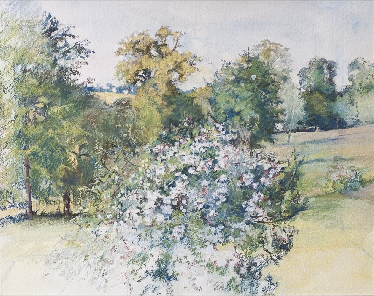Kesäkuu ikkunastamme, 2007 (pastelli & wc paperilla) tekijältä Caroline Hervey Bathurst