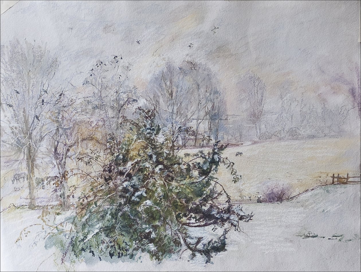Talvi ikkunastamme, 2009 (pastelli & wc paperilla) tekijältä Caroline Hervey Bathurst