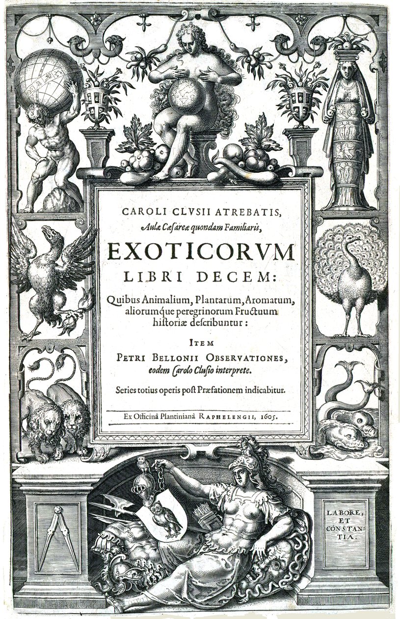 Exoticorum libri decem tekijältä Carolus Clusius