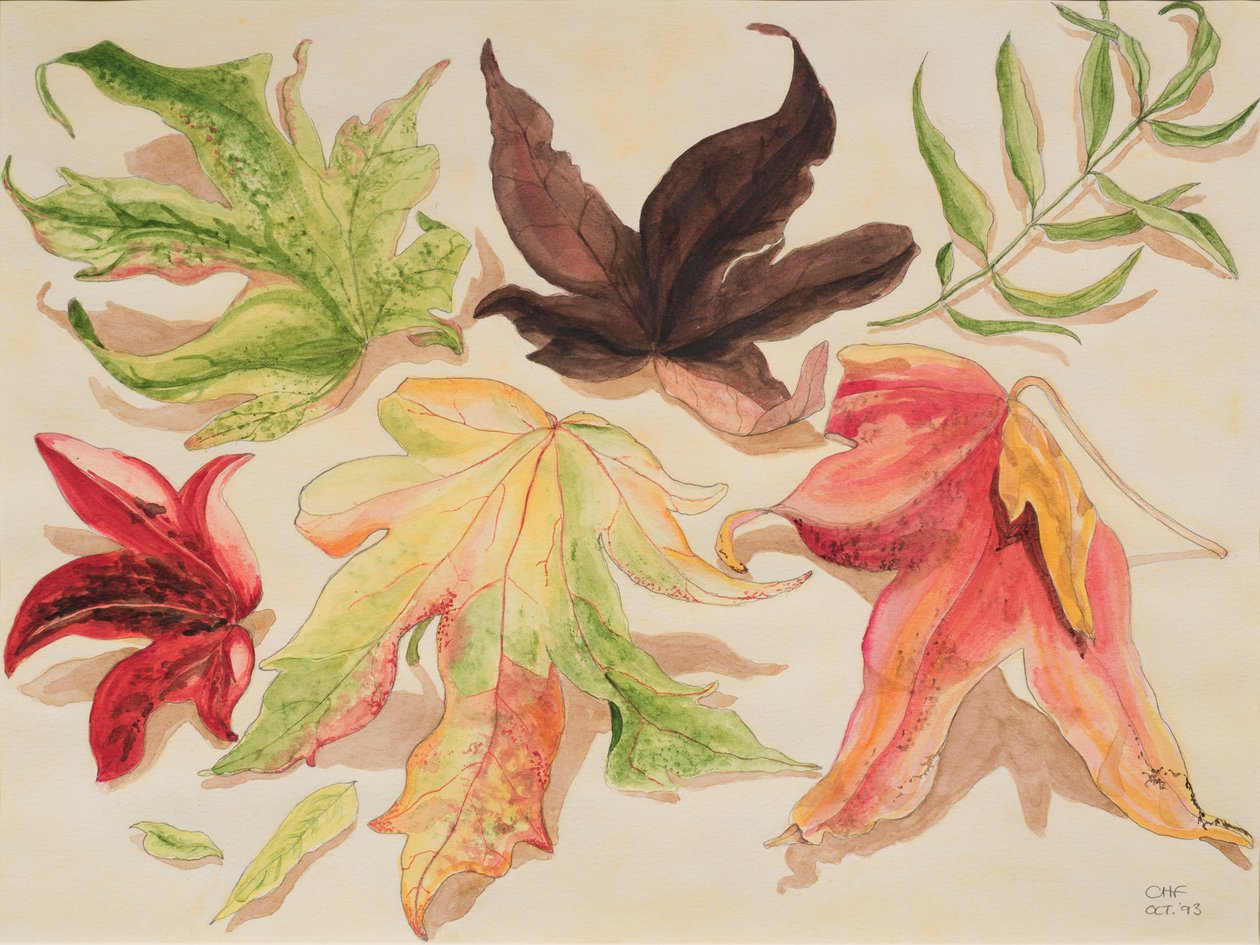 Autumn Leaves, 1993 (wc paperilla) tekijältä Carolyn Hubbard Ford