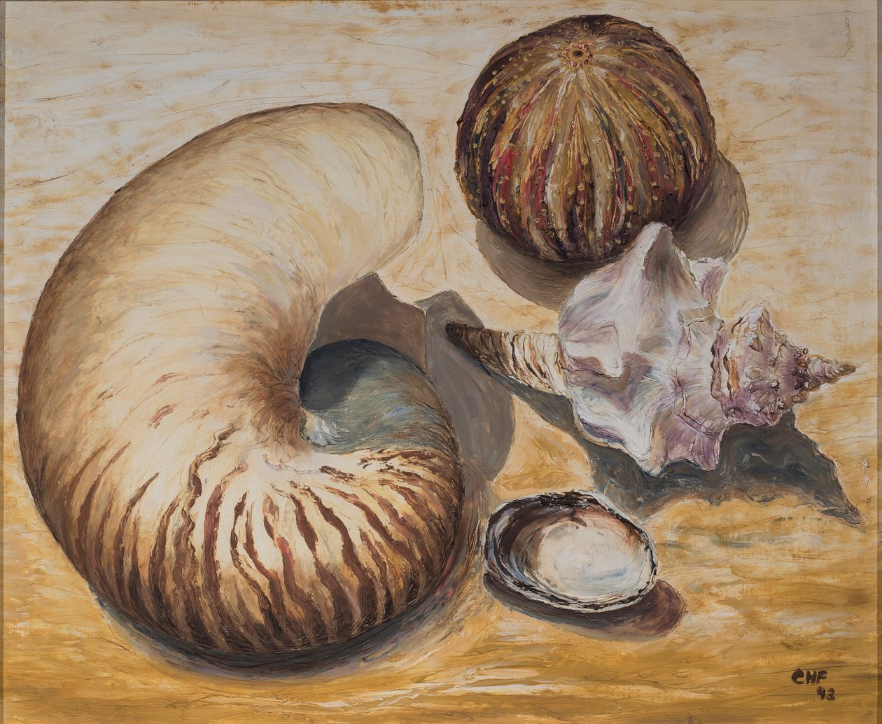 Simpukoita, 1993 (öljy paperille) tekijältä Carolyn Hubbard Ford