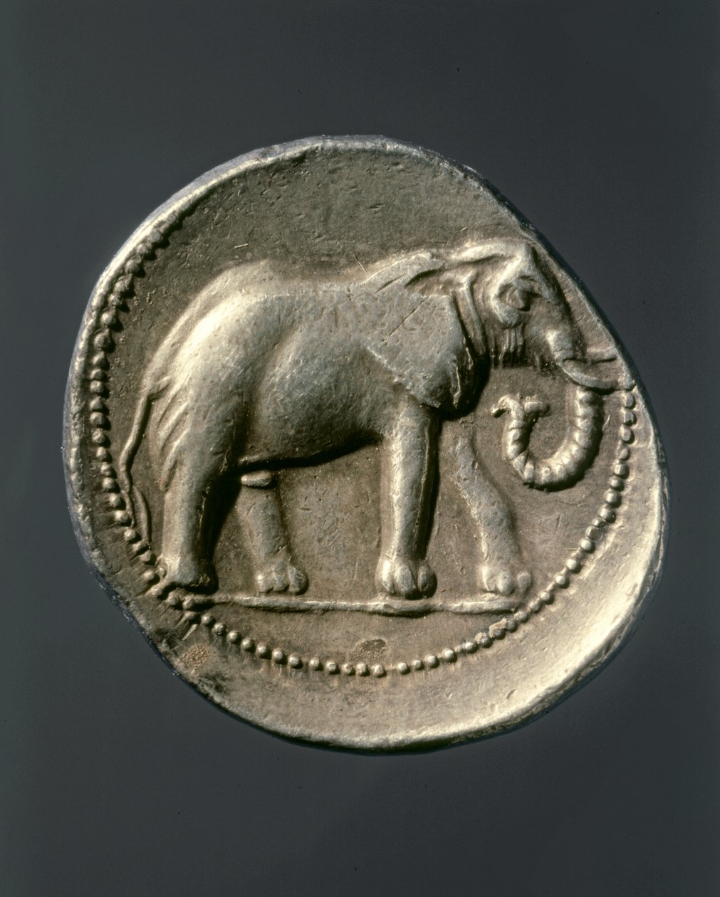 HANNIBAL Barca: Kultakolikko, jossa on Hannibalin norsu (kultakolikko). tekijältä Carthaginian Carthaginian