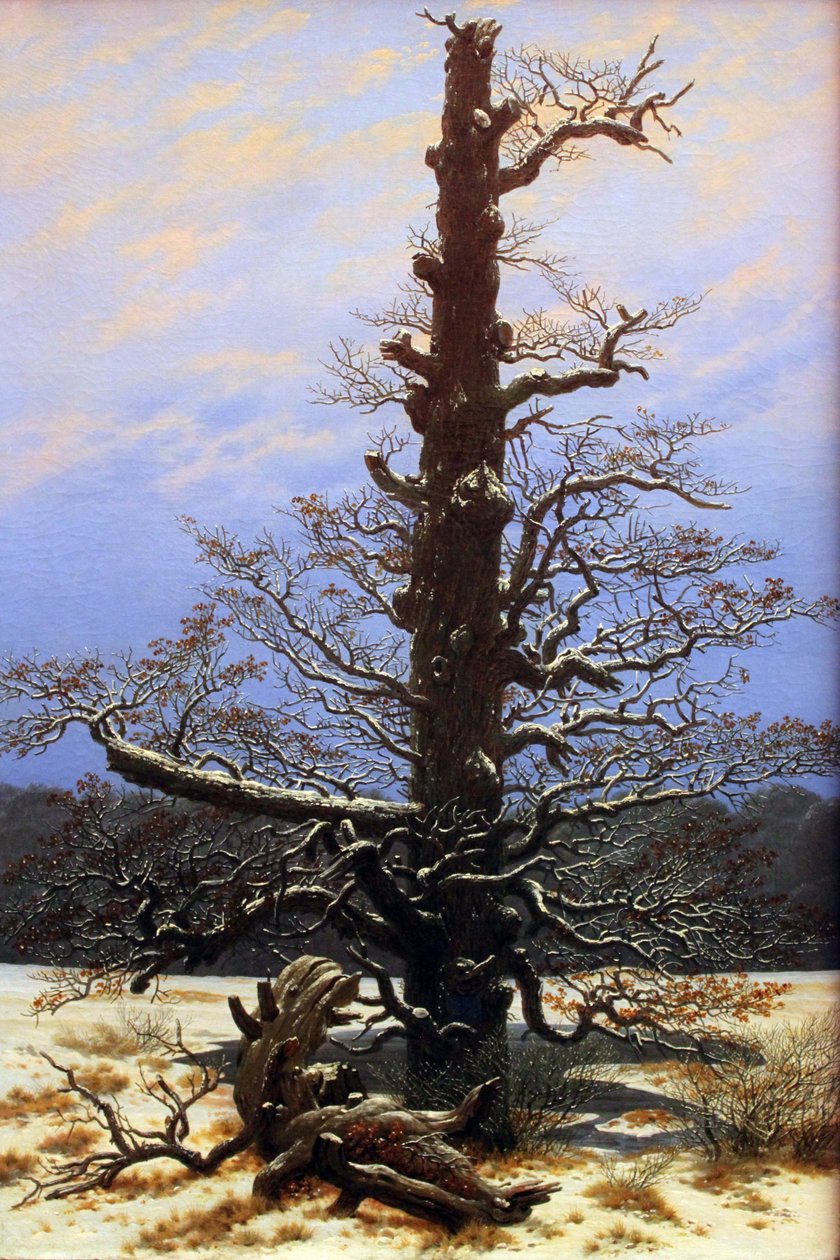 Eichbaum im Schnee tekijältä Caspar David Friedrich